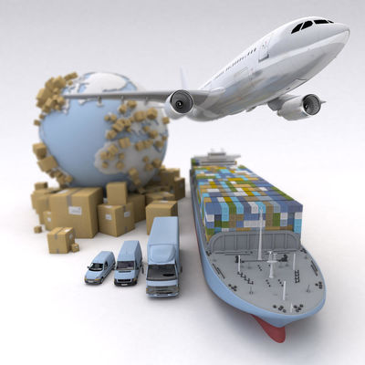 Buy All  Lines Logistics DDP Sea Shipping With Professional Tracking Service online manufacture