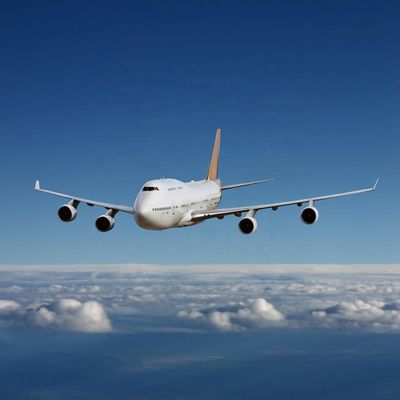 購入 大型宇宙物流サービス DDP 中国からメキシコへの航空輸送 online manufacture