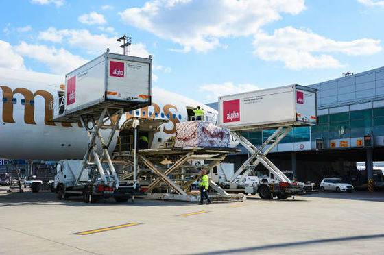 comprar Agente de transporte aéreo de carga aérea Globle para servicios logísticos a Madagascar Seychelles online manufacture