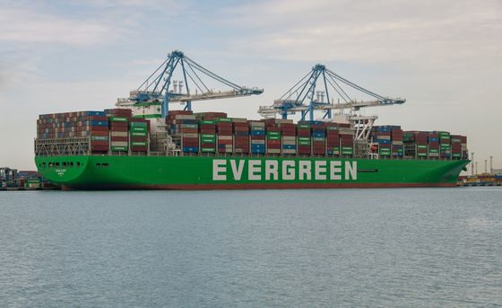 kaufen Weltweite internationale Seefrachtversand nach Irland in 45 - 55 Tagen online manufacture