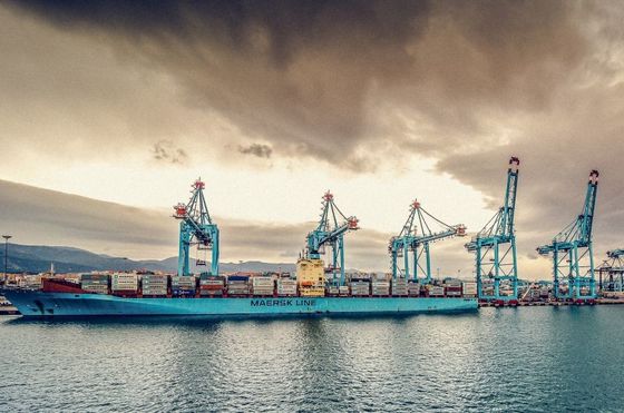 kupować Załadunek i rozładunek morski FCL Fracht morski 20FT 20GP 40GP 40HC z do Bahrajn Port Usługi logistyczne online manufacture