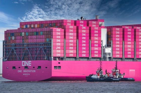 YML/HMM Transporteur Fret maritime avec entrepôt d'origine de marchandises générales