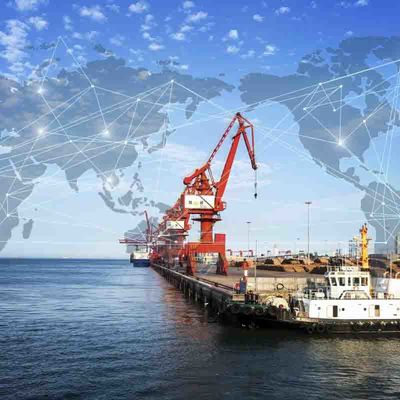 Hàng hóa biển rẻ nhất từ Trung Quốc đến Argentina Bolivia Caribbean Hà Lan Brazil